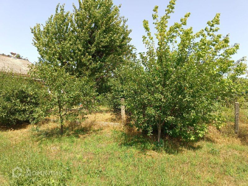 земля р-н Калининский ст-ца Старовеличковская ул Рыночная фото 6