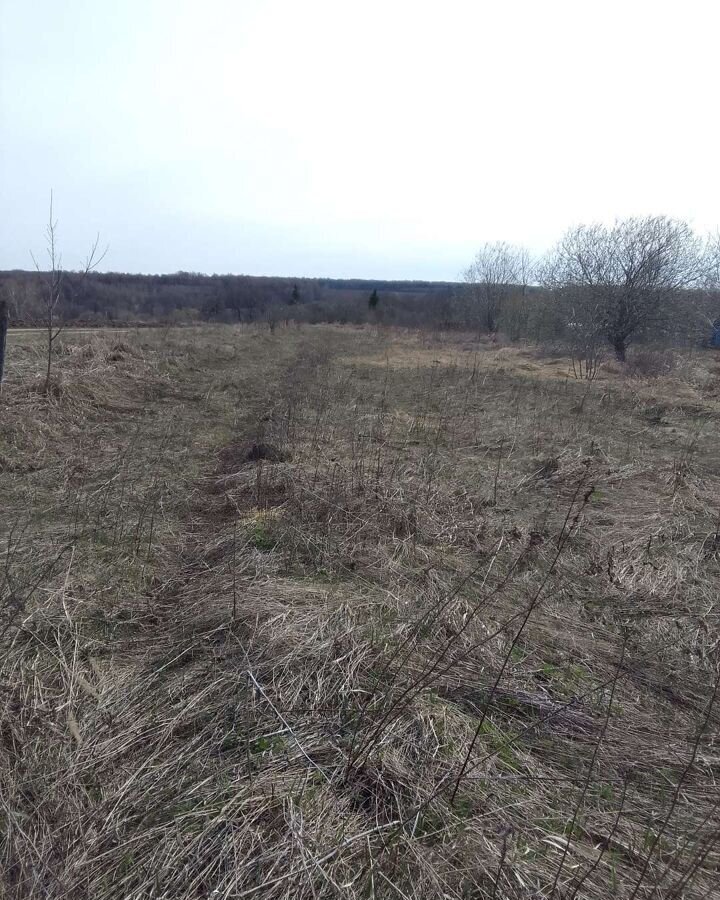 земля городской округ Зарайск д Жилконцы Луховицы фото 2