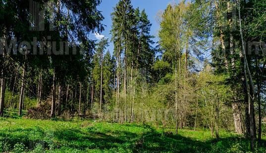 земля городской округ Красногорск коттеджный пос. Вымпел фото 1