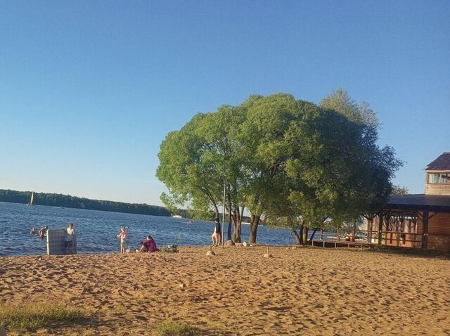 снт Подрезово пер 1-й Дачный фото снт Подрезово пер 1-й Дачный фото