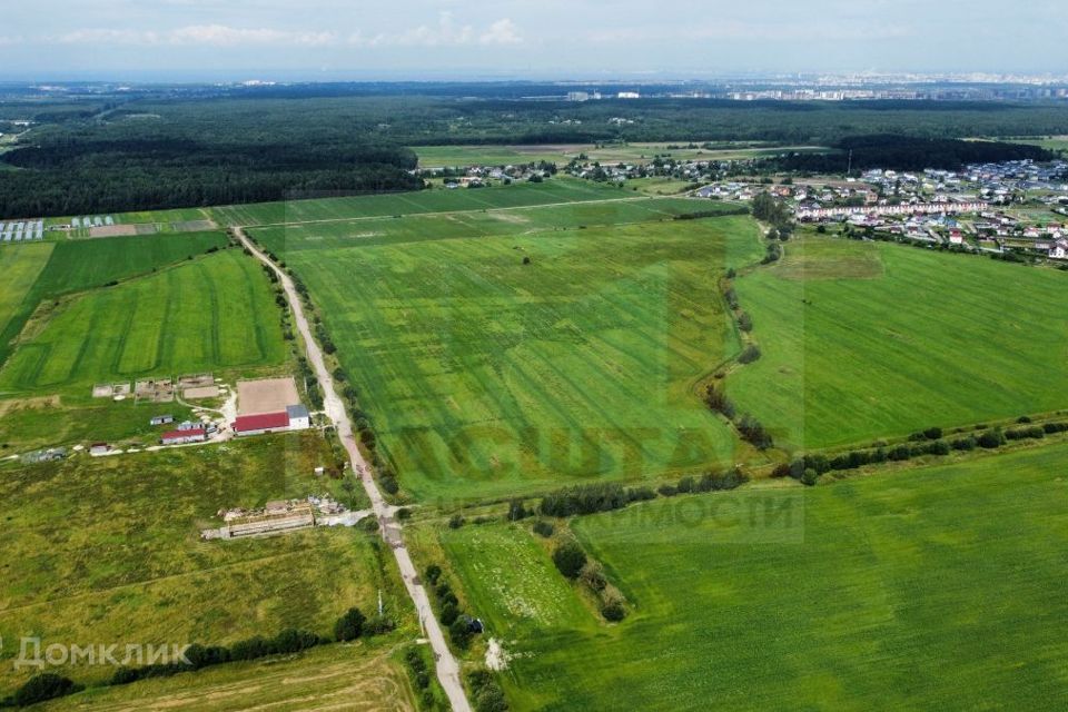 земля р-н Ломоносовский фото 3