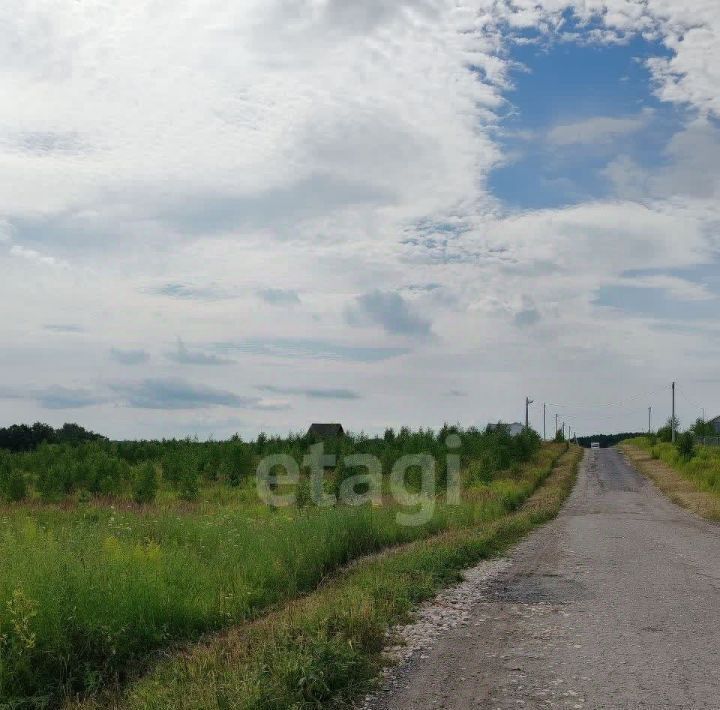 земля р-н Богородский д Килелей ул Яблоневая фото 10