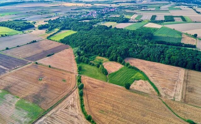 р-н Семикаракорский г Семикаракорск Семикаракорское городское поселение фото