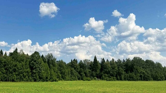 Ашукино фото