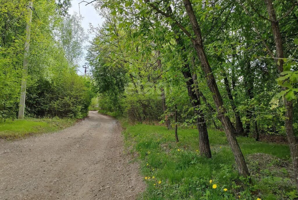 земля р-н Благовещенский с Чигири ул Барбарисовая фото 2