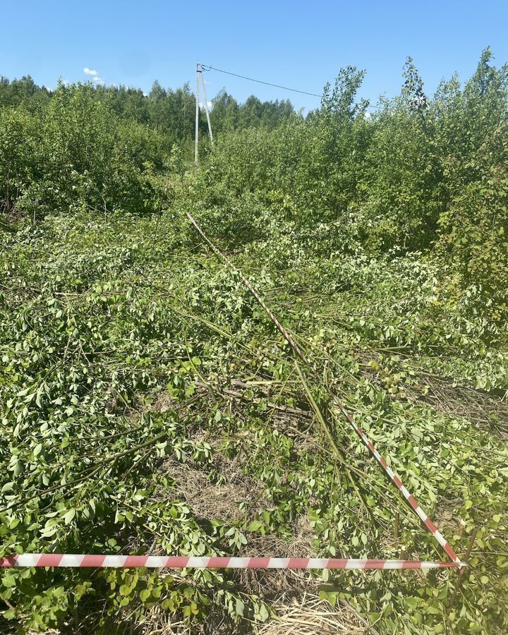 земля р-н Боровский д Сатино сельское поселение Совьяки, Боровск фото 1