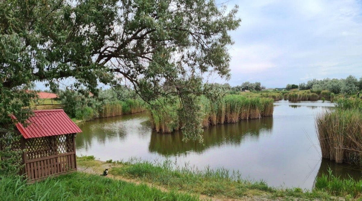 земля р-н Сакский пгт Новофедоровка фото 3