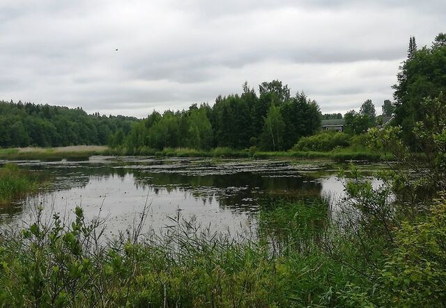 Советское городское поселение, пос. при железнодорожной станции Матросово, Правобережная ул фото