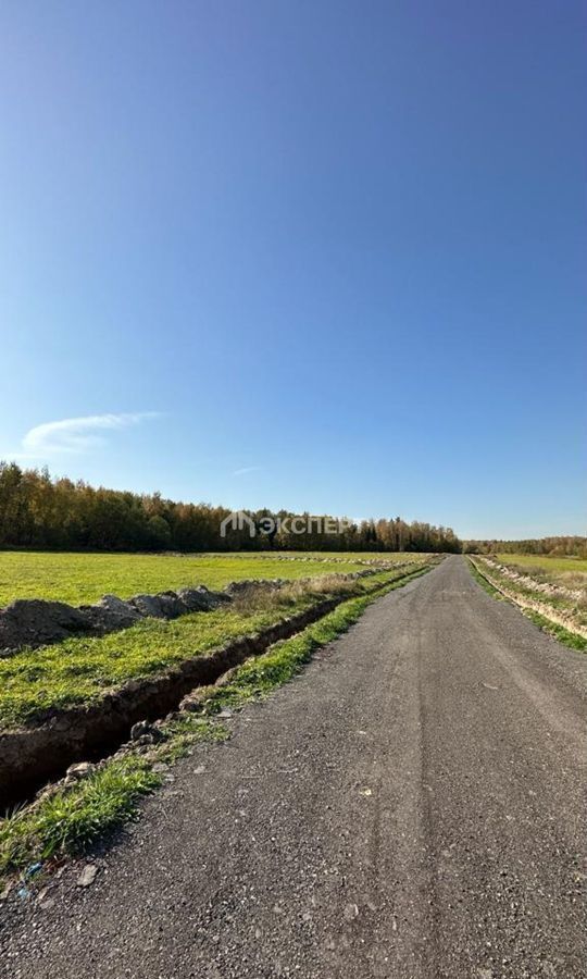 земля городской округ Павловский Посад д Субботино р-н мкр Трубицыно Павловский Посад фото 3