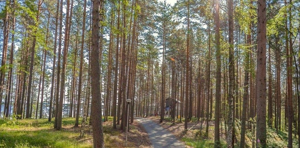 комната р-н Пряжинский Эссойльское с/пос, Азаннаволок тер фото 30