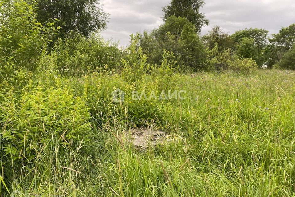 дом р-н Вологодский деревня Колбино Кубенский сельсовет фото 4