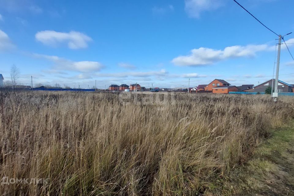 земля городской округ Ступино деревня Полупирогово фото 4