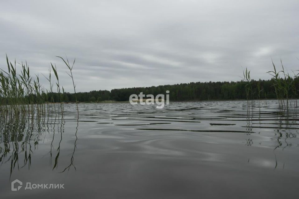 земля р-н Приозерский Ромашкинское сельское поселение фото 10