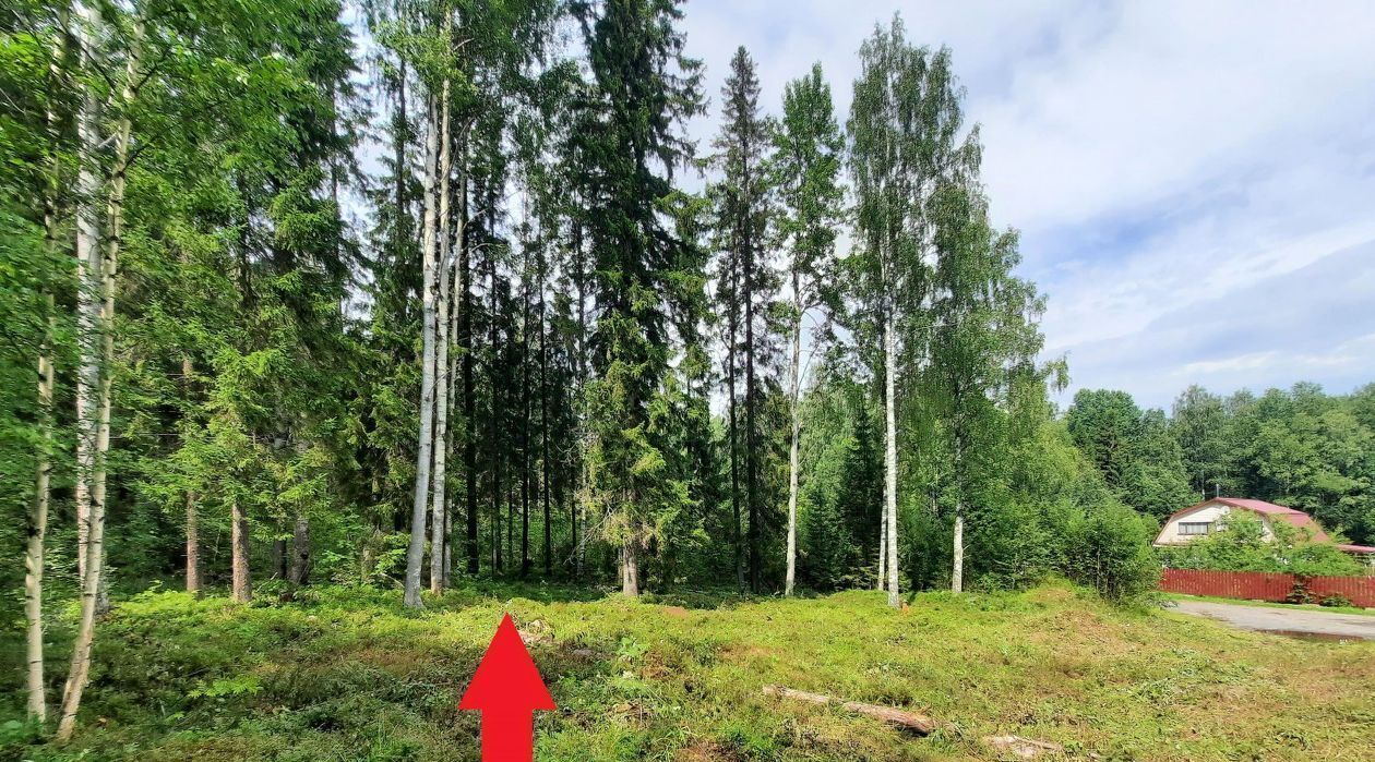 земля р-н Кондопожский г Кондопога ул Советов фото 6