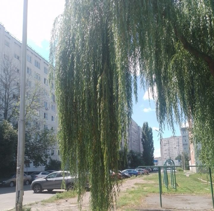 квартира г Курчатов ул Садовая 4 фото 11