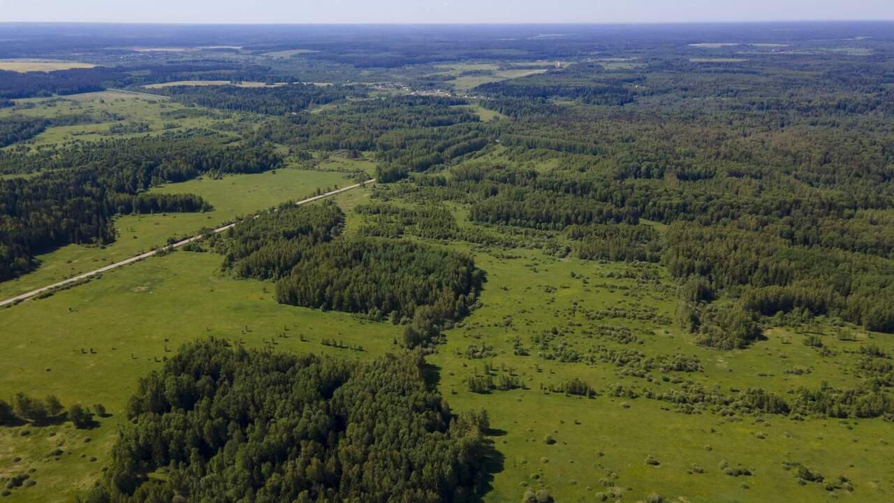 земля городской округ Можайский д Дегтяри Волоколамское шоссе фото 10