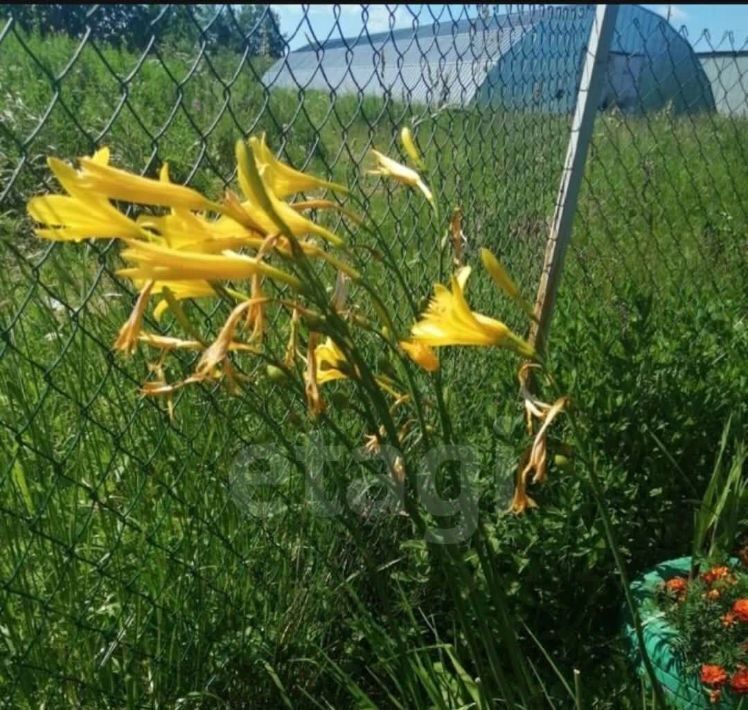 дом р-н Вологодский п Можайское фото 33