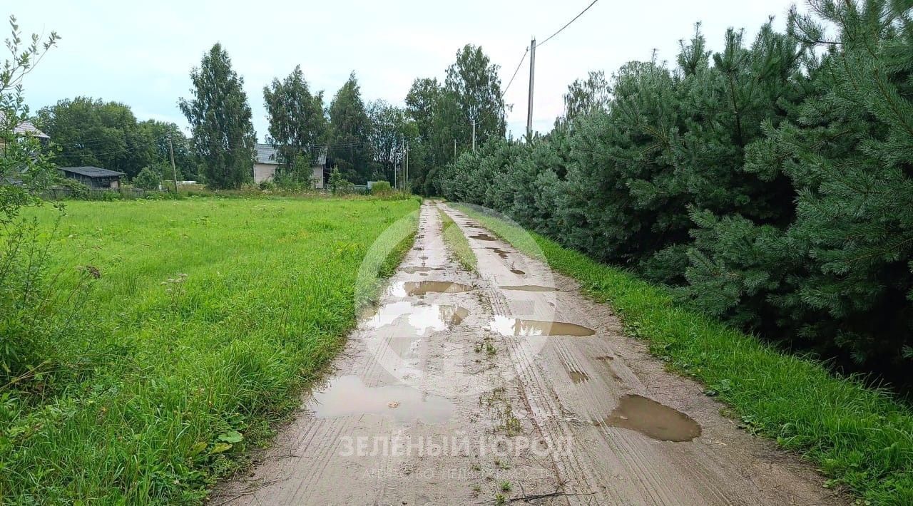 земля городской округ Клин д Василево ул Родниковая 10 фото 8