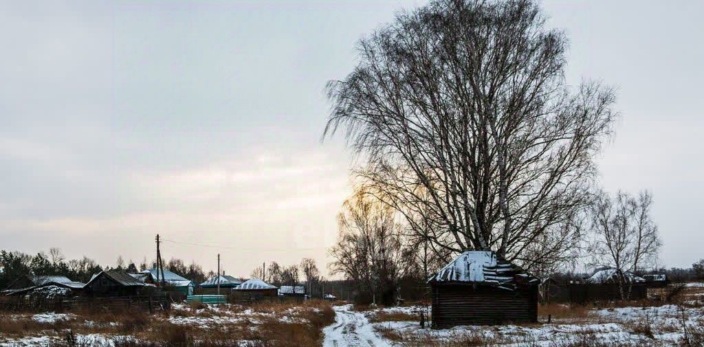 земля р-н Талицкий с Пеньки ул Ленина 13 фото 3