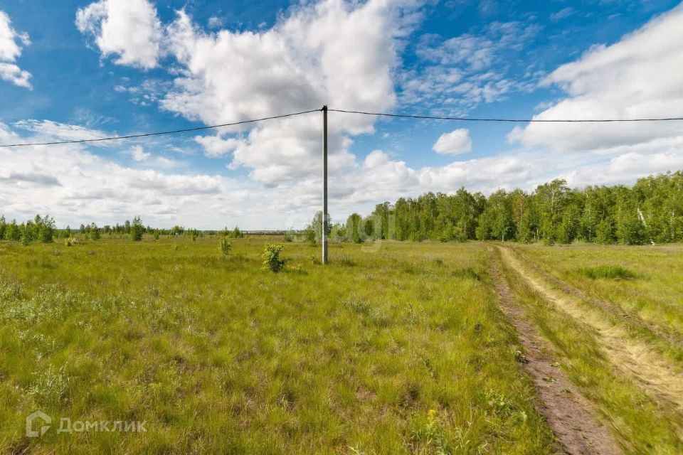 земля р-н Кетовский село Новая Сидоровка фото 7