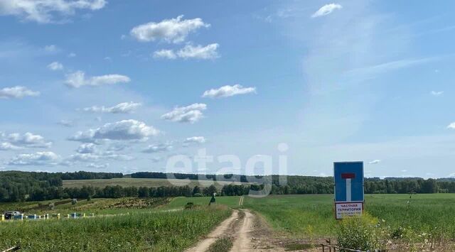 р-н Алексинский с Бунырево днп тер.Ока Лесная фото