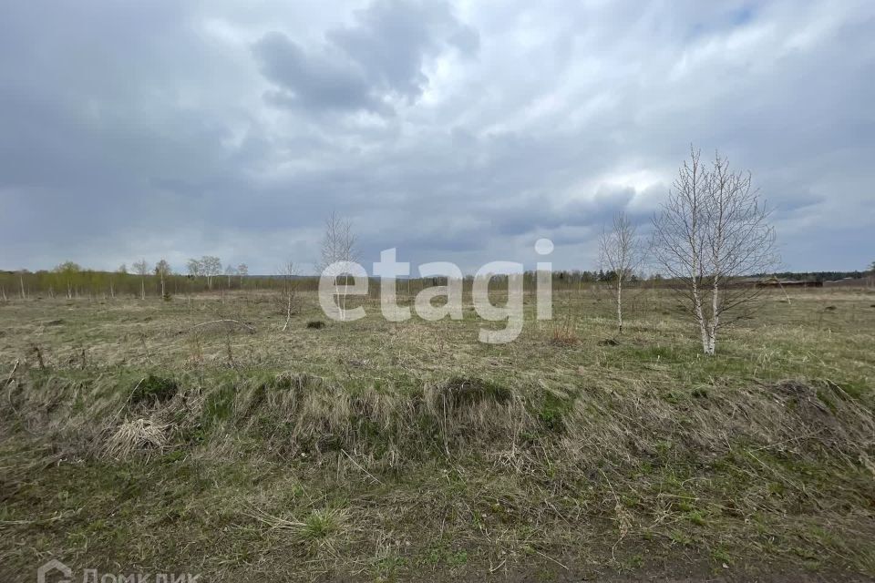 земля г Красноярск р-н Октябрьский городской округ Красноярск, СНТ Надежда фото 4