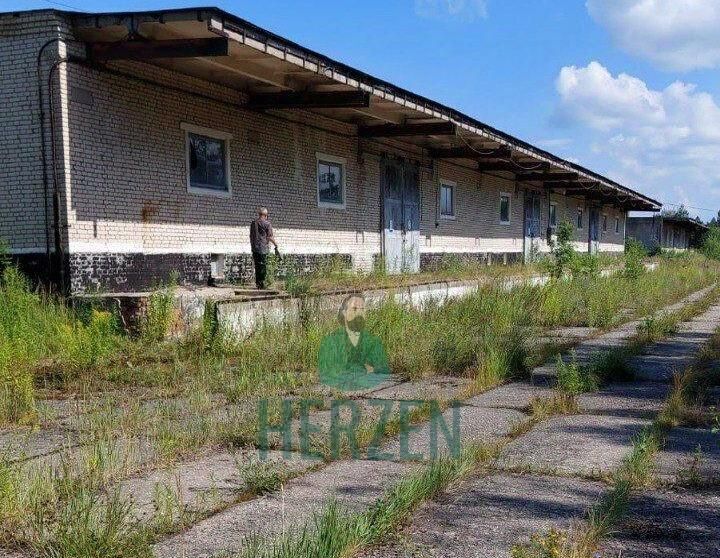 производственные, складские городской округ Одинцовский д Чапаевка 2 фото 10