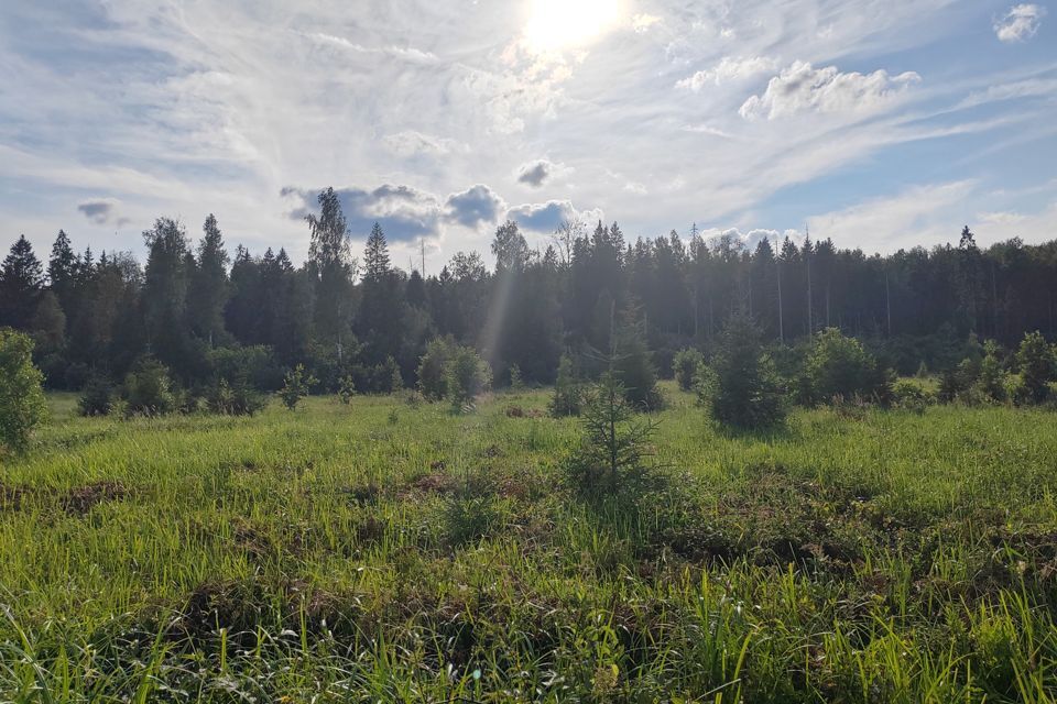 земля городской округ Клин СНТ Поляна фото 2