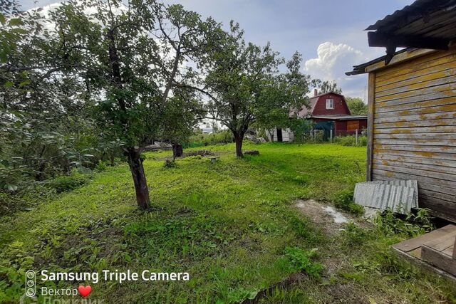 садовое товарищество Ласточка, городской округ Егорьевск фото