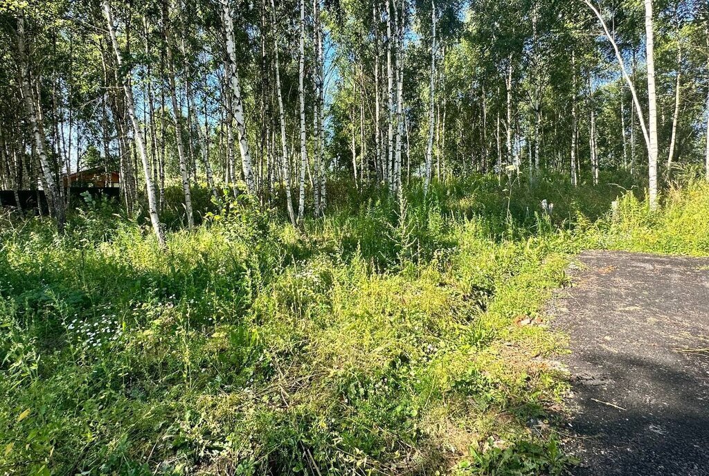 земля городской округ Дмитровский д Капорки Лобня фото 15