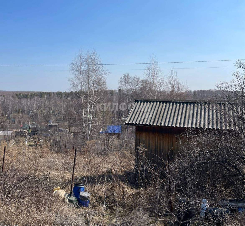 дом р-н Новосибирский СНТСН Надежда-2 территория снт фото 8