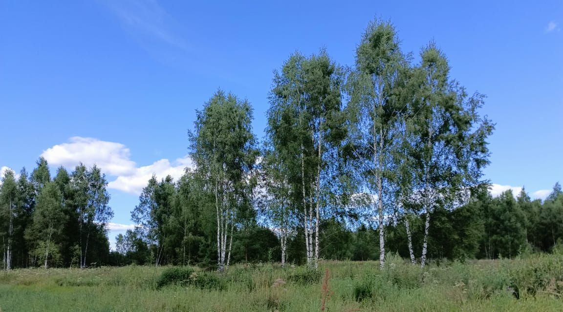 земля городской округ Богородский д Тимково фото 1