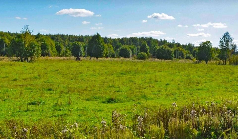 земля городской округ Клин д Акатьево фото 1