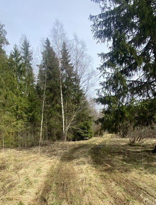 дом р-н Выборгский п Кутузово Селезневское с/пос, пос. При железнодорожной станции Лужайка фото 20