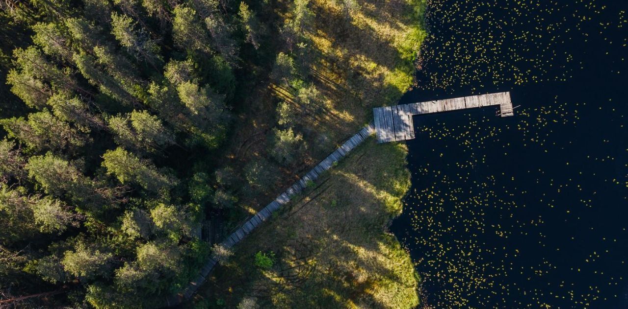 земля р-н Выборгский п Первомайское пос, Сабур-3 СНТ, 24 фото 6