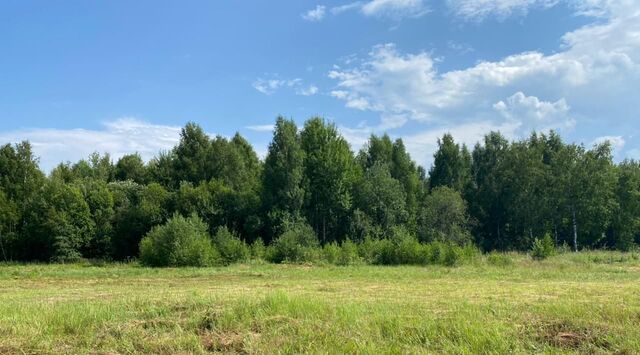 земля ДНТ, Переславль-Залесский муниципальный округ фото земля ДНТ, Переславль-Залесский муниципальный округ фото