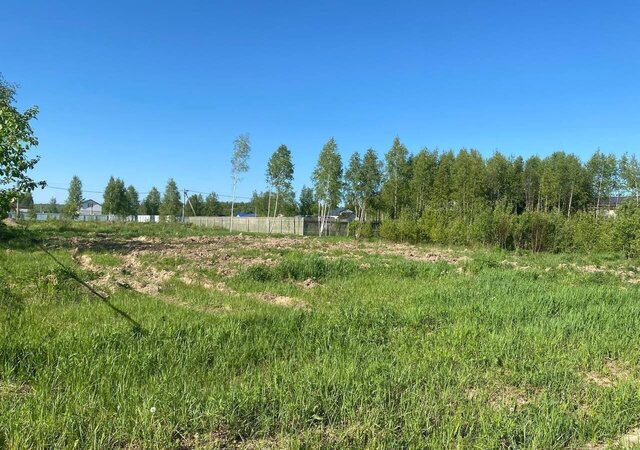 г. о. Чехов фото г. о. Чехов фото