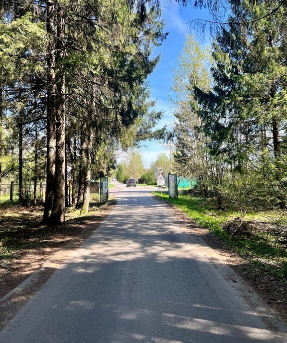 земля г Домодедово снт Повадино 175, Наро-Фоминский городской округ фото 7