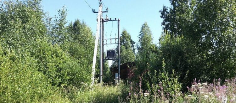 земля р-н Ломоносовский д Коваши Лебяженское городское поселение, Сосновый Бор фото 4