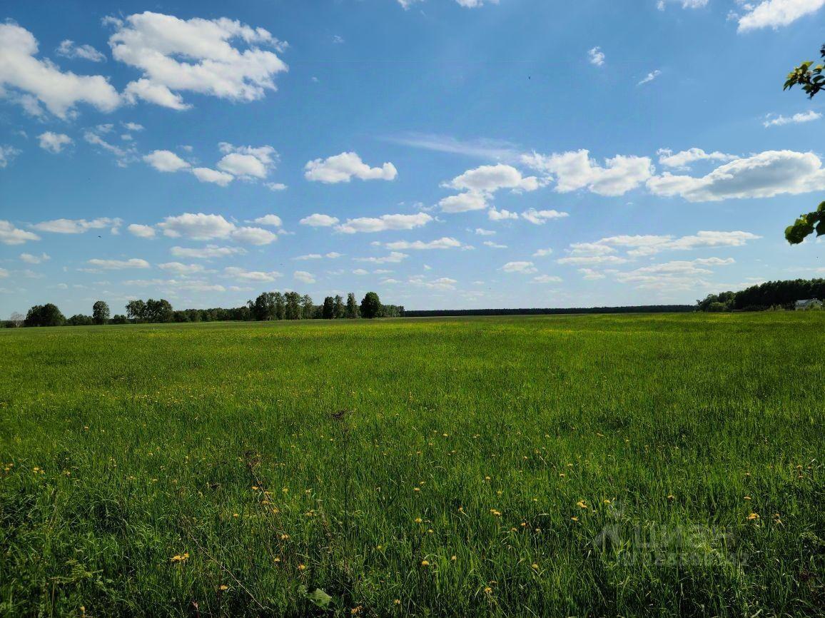 земля городской округ Домодедово Голубино, Аллейная улица фото 1