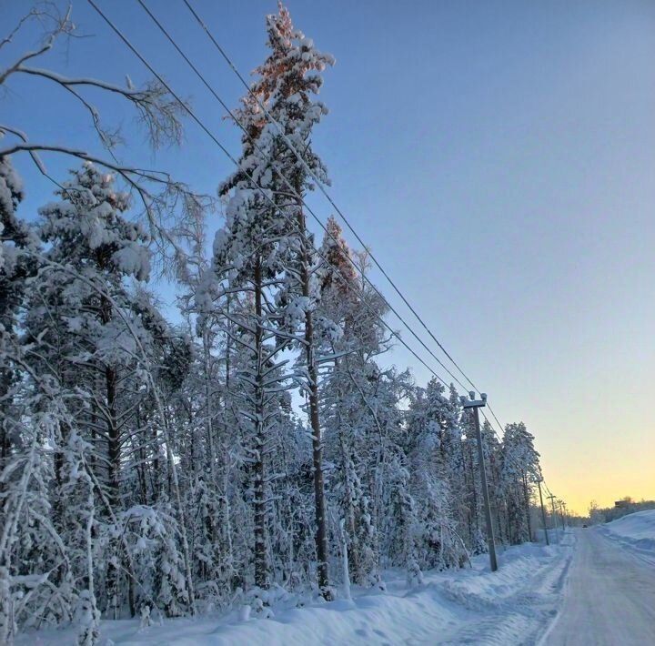 земля р-н Всеволожский Токсовское городское поселение фото 3