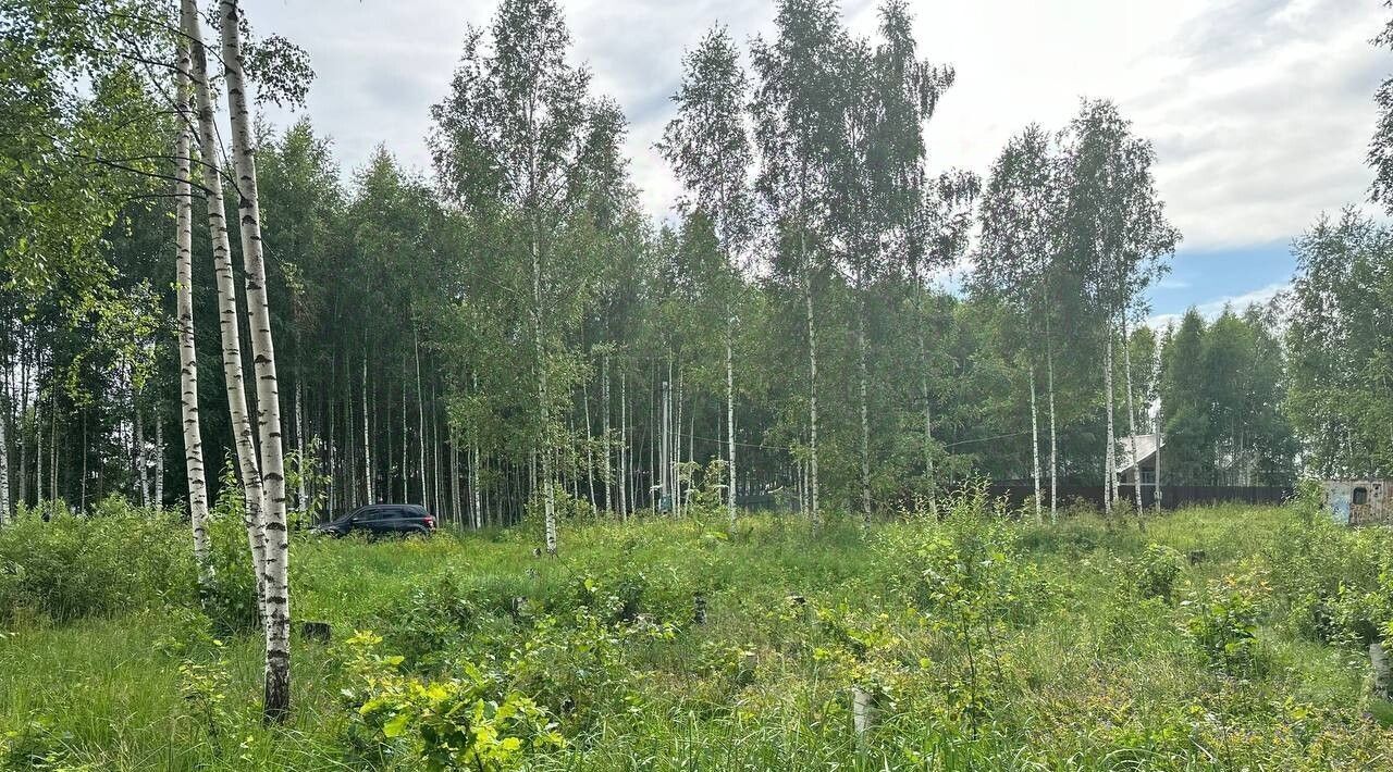 земля р-н Переславский д Соловеново Переславль-Залесский городской округ фото 7