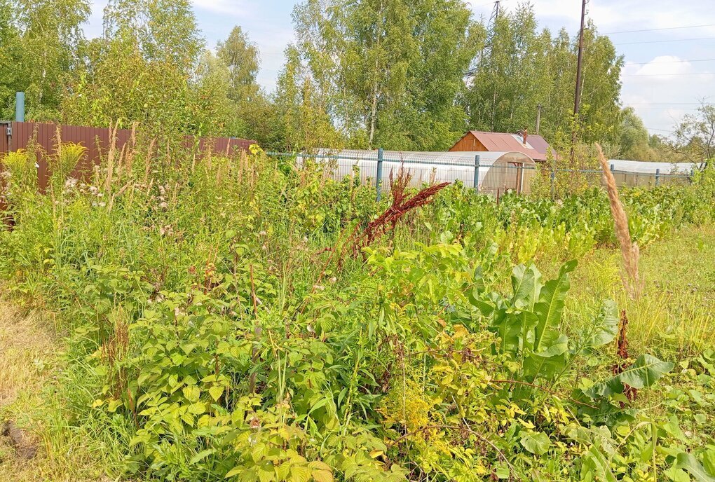 земля г Бор снт тер.Волжские Зори 68 Буревестник фото 2