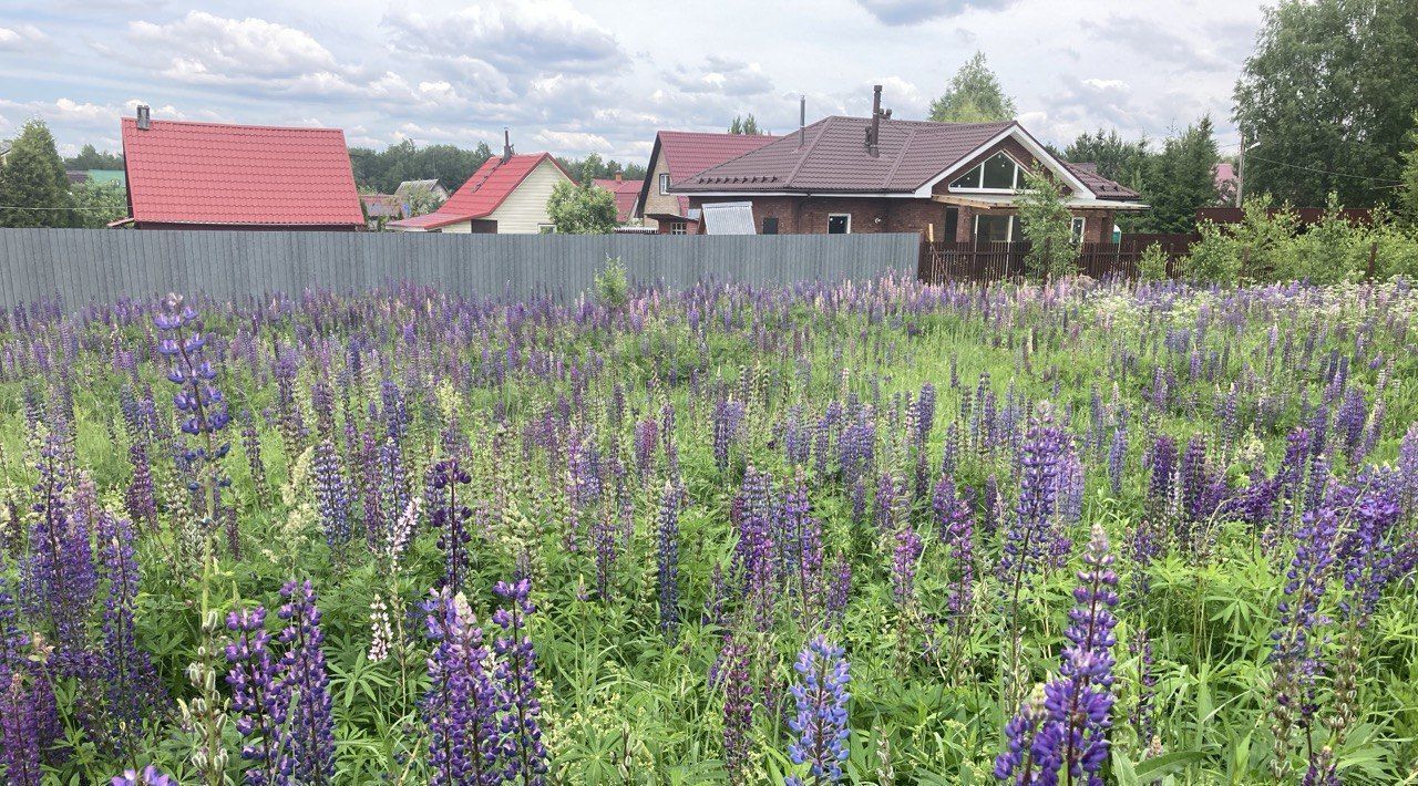 земля г Одинцово снт Кубинка Одинцовский городской округ фото 2