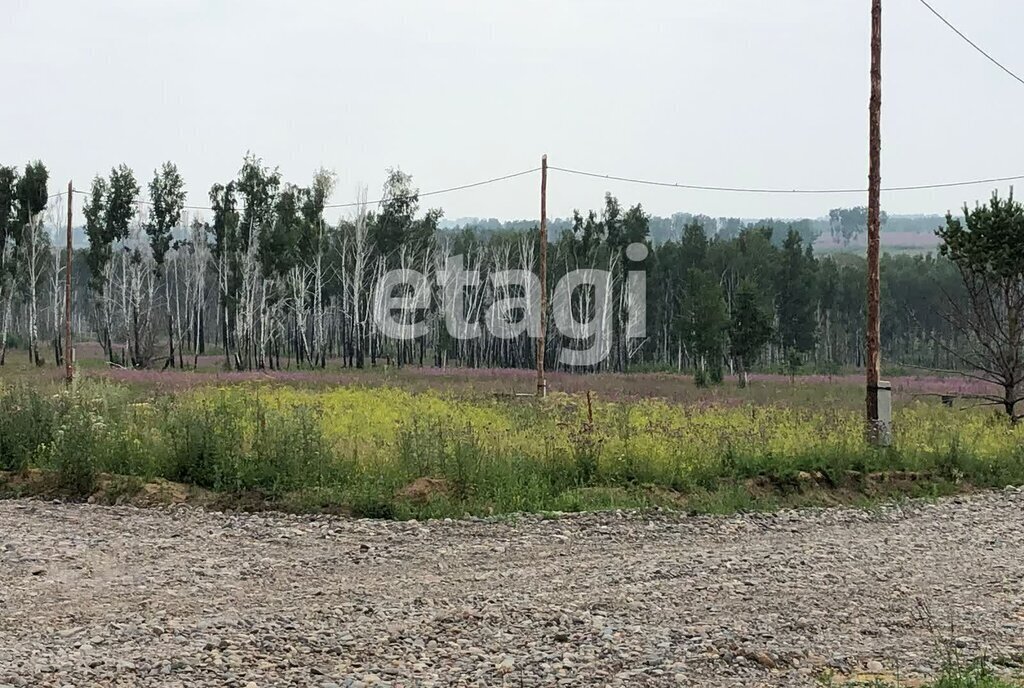 земля р-н Березовский снт Мальта Есаульский сельсовет фото 3