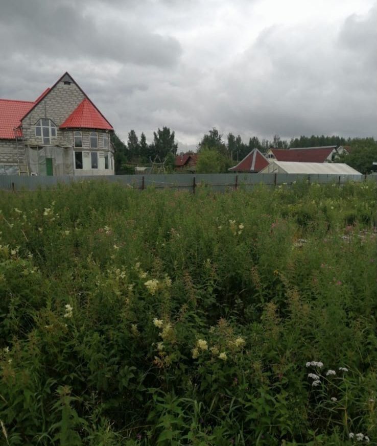 земля городской округ Клин г Высоковск 192, г. о. Клин, садовое товарищество Надежда фото 3