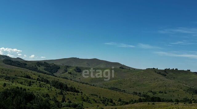 ул Бийская фото