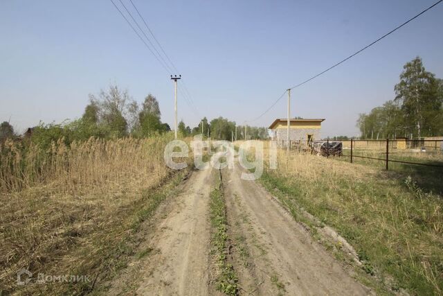 городской округ Тюмень, СО Зелёный бор фото