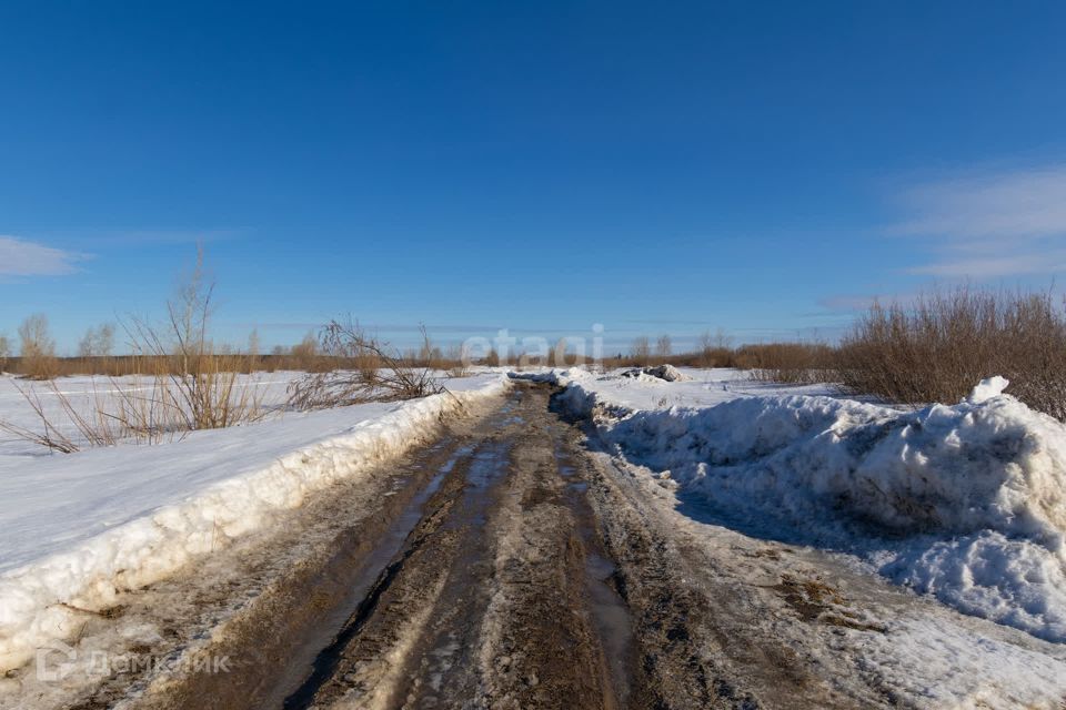 земля р-н Ханты-Мансийский СНТ Берег фото 2