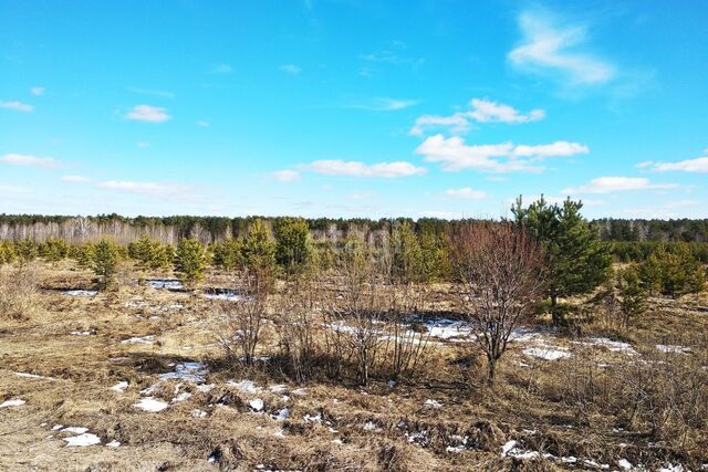 село Черепаново фото